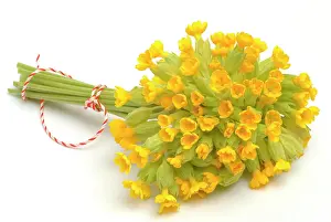 Bouquets: Cowslip (Primula officinalis or Primula veris)