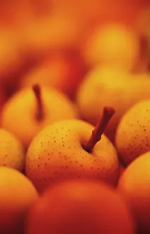 Sieboldii: Crabapple