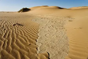 Remnants: Cracked clay in the dunes - Remnants of the sparse rainfall