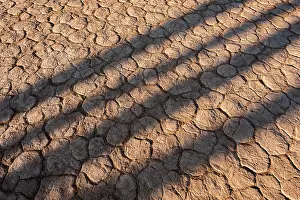 Clay: Cracked Dead Vlei clay pan with tree shadows, Namibia