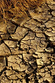 Cracked: Cracked Earth