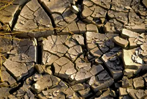 Cracked: Cracked Earth