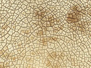 Thomas Dressler: Cracked earth. Aerial view. Drone shot