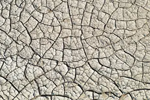 Cracked: Cracked earth. Damaraland, Namibia