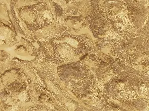 Thomas Dressler: Cracked earth and dried up ground