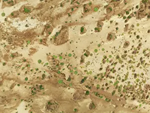 Thomas Dressler: Cracked earth and dried up ground with sparse desert vegetation
