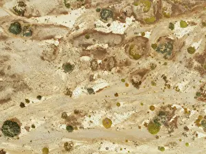 Thomas Dressler: Cracked earth and dried up ground with sparse desert vegetation
