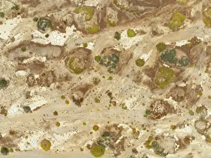 Thomas Dressler: Cracked earth and dried up ground with sparse desert vegetation