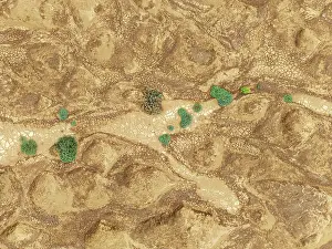 Thomas Dressler: Cracked earth and dried up streams with sparse desert vegetation