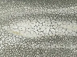 Cracked: Cracked earth in the marshland near Sanlcar de