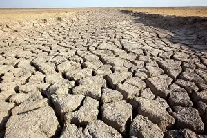 Parched: Cracked Earth parched by the sun and drought
