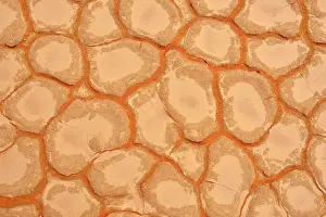 Patterned: Cracked mud patterns on the playa, Tassili n'Ajjer
