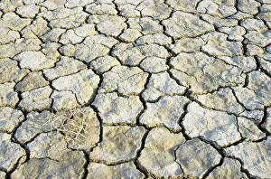 Turkmenistan: Cracked soil in a desert near Kum-Dag