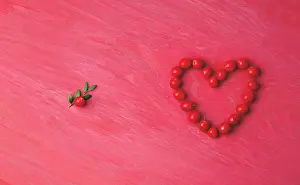 Oxycoccos: Cranberry