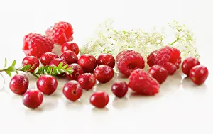 Superfood: Cranberry, Vaccinium oxycoccos, several berries