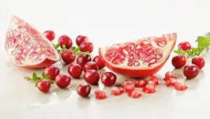 Superfood: Cranberry, Vaccinium oxycoccos, several berries