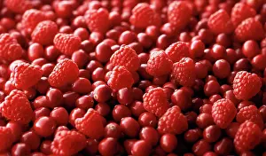 Superfood: Cranberry, Vaccinium oxycoccos with Raspberry, Rubus