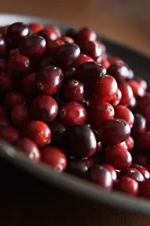 Superfood: Cranberry, Vaccinium oxycoccos, Red subject