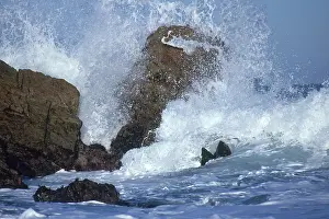 Crashing: Crashing Wave