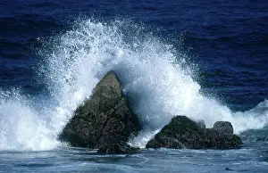 Crashing: Crashing Wave