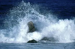 Crashing: Crashing Wave