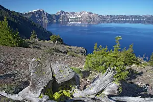 Deepest: Crater Lake with Dead Trees in foreground Lake