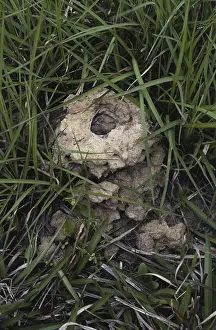 Retreat: Crayfish Chimney