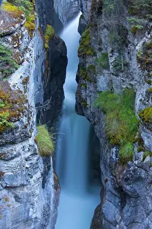 Maligne: Creek in the Maligne Canyon