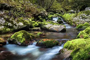 Overgrown: Creek with mossy rocks, Lepenjica watercourse, Soca