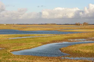 Oosterschelde: Creeks created in agricultural fields in Zuidkust Schouwen n
