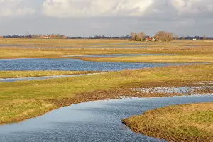 Oosterschelde: Creeks created in agricultural fields in Zuidkust Schouwen n