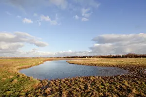 Oosterschelde: Creeks created in agricultural fields in Zuidkust Schouwen n