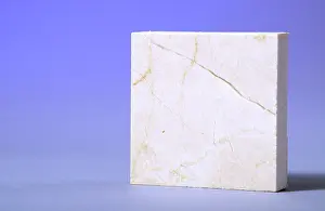 Petrology: Crema Marfil Marble