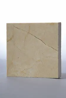 Petrology: Crema Marfil Marble