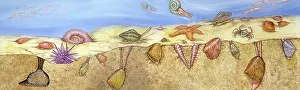 Reconstruction: Cretaceous Marine scene
