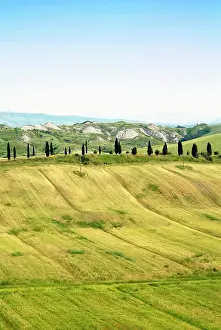 Siena: Crete senesi area, near Asciano, Siena Province