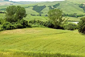 Siena: Crete senesi area, near Asciano, Siena Province