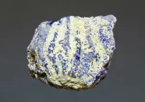 Featherstar: Crinoid Fossil Replaced with Fluorite