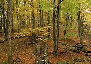 Plitvice: Croatia - Plitvice National Park