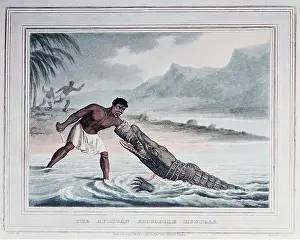 Biting: CROCODILE HUNTERS 19TH CENTURY HISTORICAL PRINT
