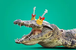 070219: Crocodile, Rockodile wearing guitar shaped sun