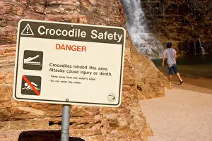 Plunge: Crocodile safety sign - a crocodile safety sign