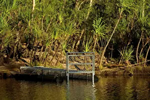 Access: Crocodile trap - a big crocodile trap is set to