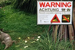 Piers Cavendish: Crocodile Warning SIGNS