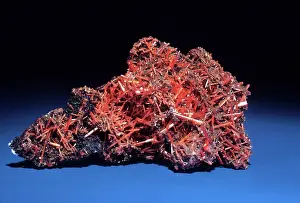 Aggregate: Crocoite from Dundas, Tasmania