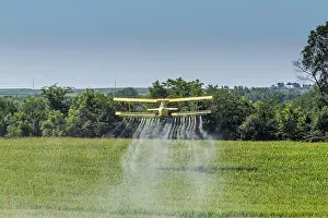 Chemicals: A crop duster applies chemicals to a field of ve