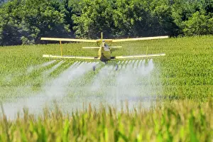 Chemicals: A crop duster applies chemicals to a field of ve