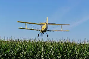 Chemicals: A crop duster applies chemicals to a field of ve