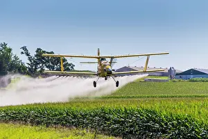 Chemicals: A crop duster applies chemicals to a field of ve