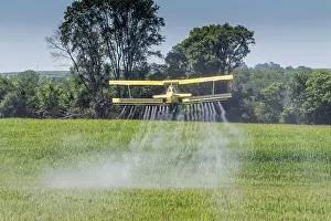 Chemicals: A crop duster applies chemicals to a field of ve